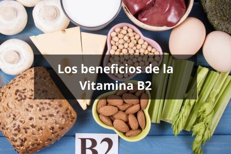Beneficios de la vitamina B2 para tu salud: todo lo que debes saber