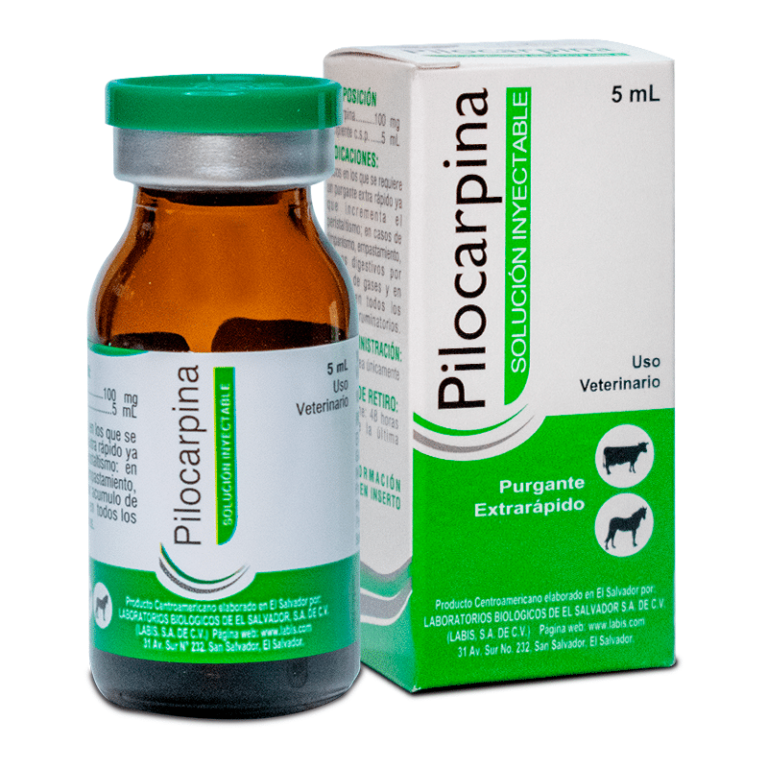 Colircusi Pilocarpina 20 mg/ml: Tratamiento de quiste uveal en perros