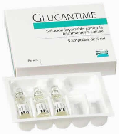 Comprar Glucantime Humano Online y sus Beneficios: Prospecto y Solución Inyectable 1500 mg/5 ml