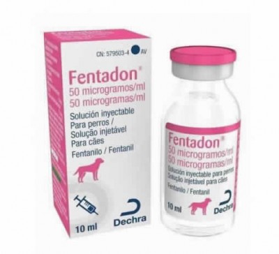 Fentanilo Ethypharm 50 microgramos/ml Solución Inyectable para Queratitis en Perros: Ficha Técnica