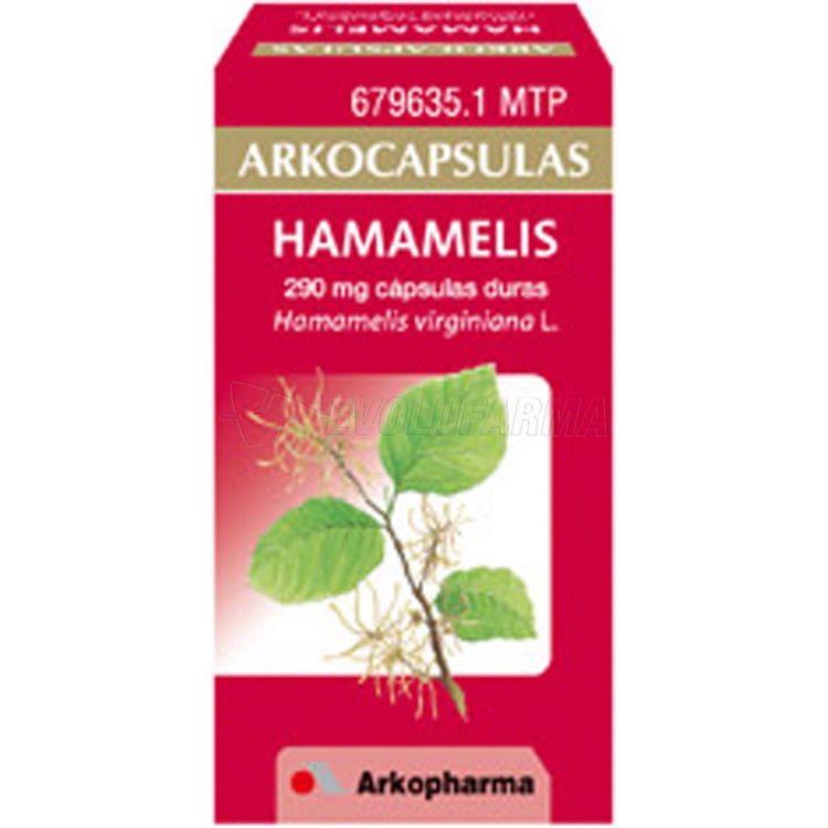 HAMAMELIS para Hemorroides: Prospecto y Beneficios de Arkocápsulas de 290 mg