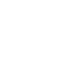 Hidrocloruro de efedrina Altan 10 mg/ml: prospecto y uso de la solución inyectable