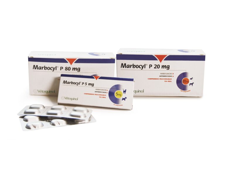 Marbofloxacino para gatos: Prospecto, dosis y efectos – Comprimidos recubiertos EFG 80 mg