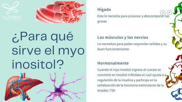 Myo Inositol: Todo lo que debes saber sobre sus contraindicaciones