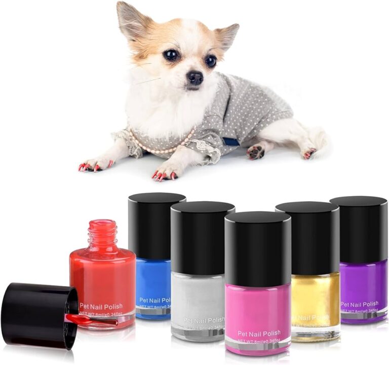 Pintauñas para perros: Ficha técnica, uso y beneficios del barniz de uñas medicamentoso ODENIL 50 mg/ml