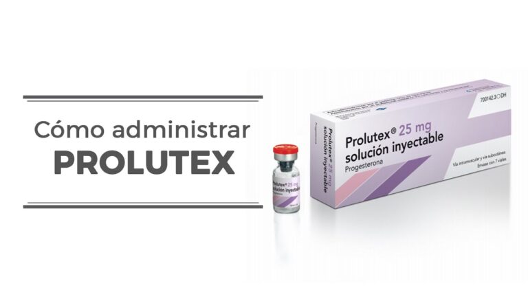 Prospecto de Prolutex 25 mg: administra progesterona cada 12 horas exactas