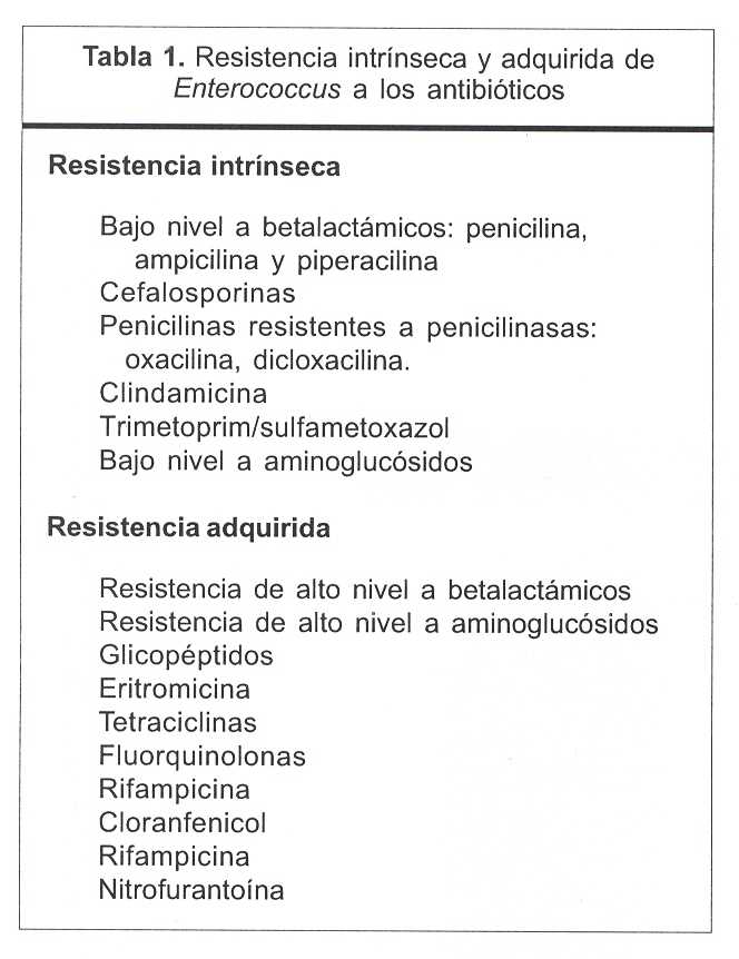 Tratamiento de Enterococcus Faecalis: Piperacilina/Tazobactam Accordpharma